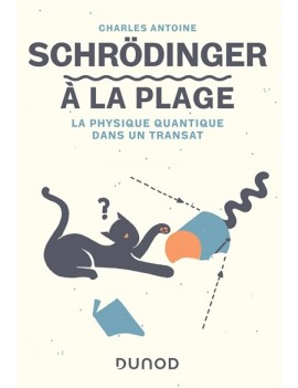 Schrödinger à la plage : la physique quantique dans un transat