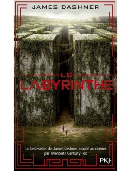 L'épreuve. Vol. 1. Le labyrinthe