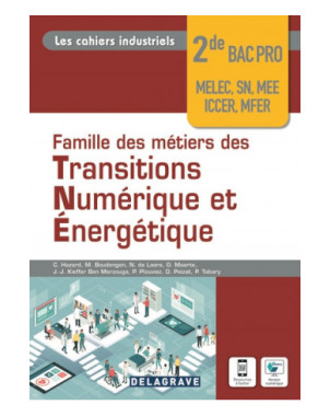 Famille des métiers des transitions numérique et énergétique : 2de bac pro, Melec, SN, MEE, Iccer, MFER