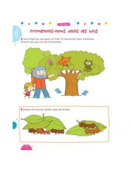 Bravo les maternelles ! : mon cahier avec plein d'activités de maths, 3-6 ans